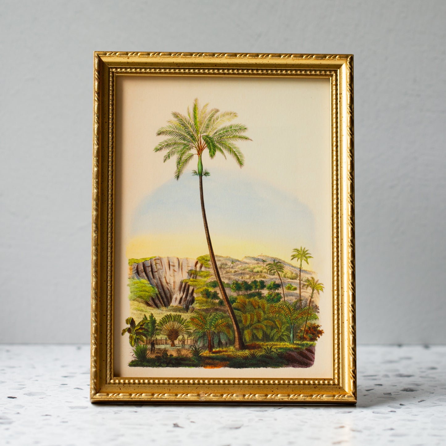 Palmarum in Gold Ornate Frame