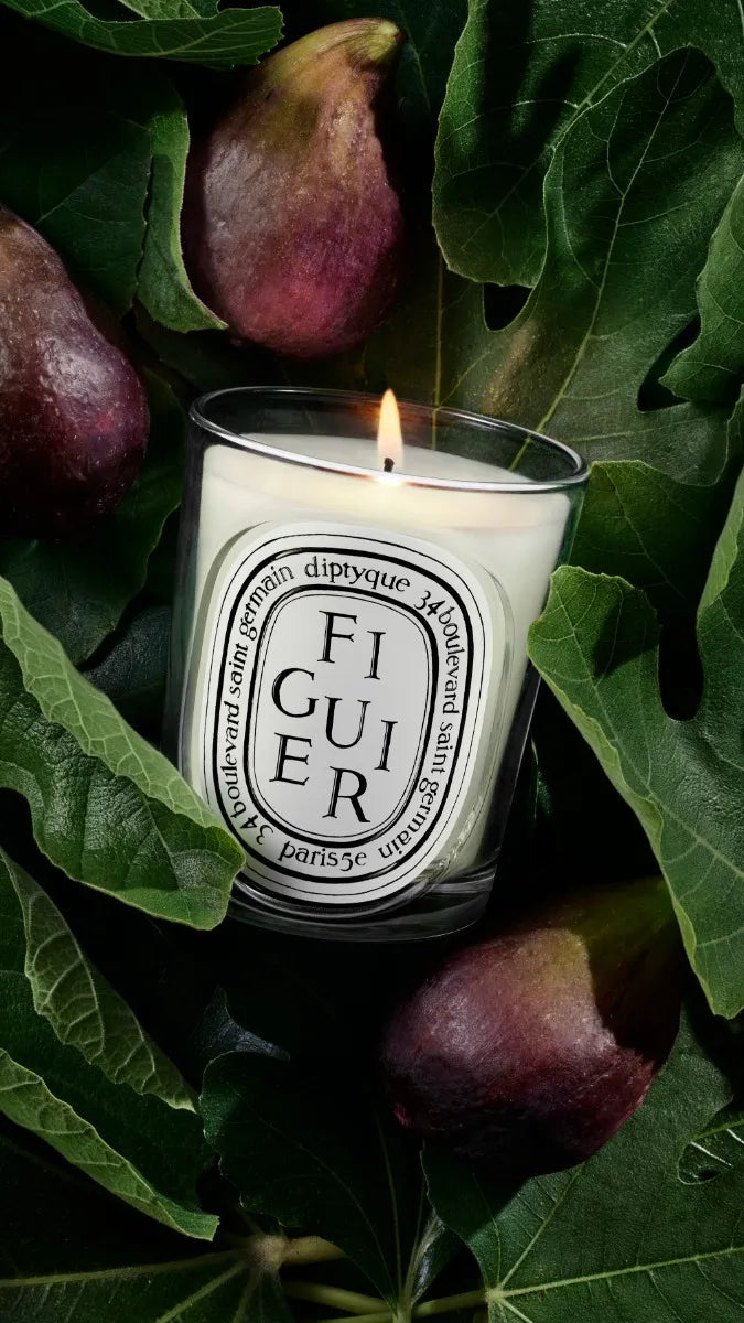 Figuier (Fig Tree) - Classic Candle by Diptyque - lifestyle view
