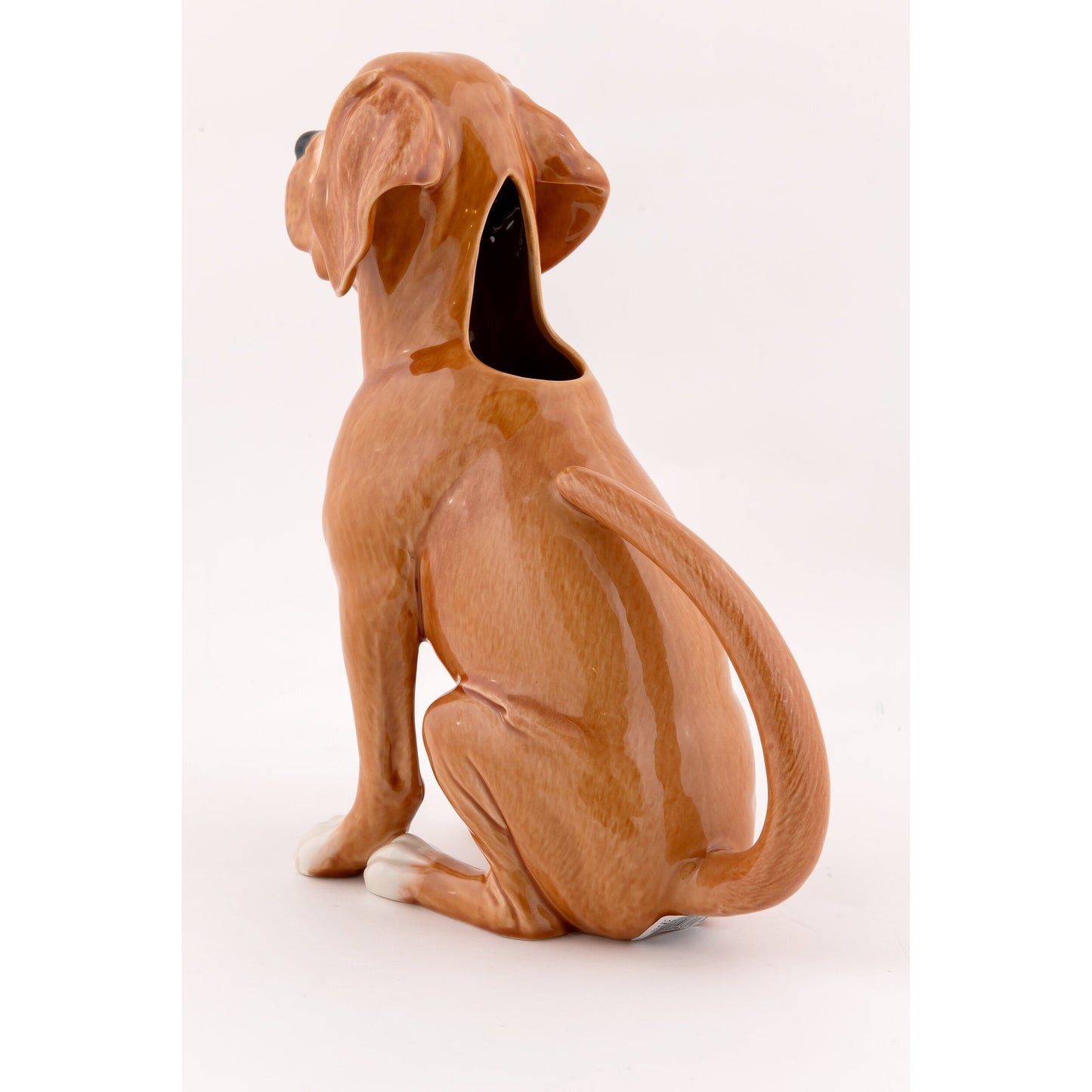 Brown Dog "Perdigueiro" Pitcher