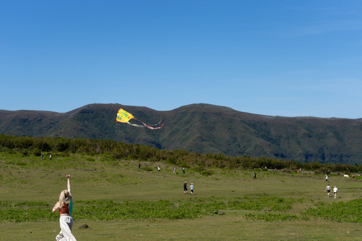 Sky Seer Pocket Kite