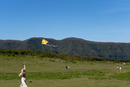 Sky Seer Pocket Kite