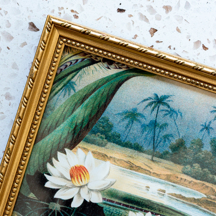 Water Lilies in Gold Ornate Frame