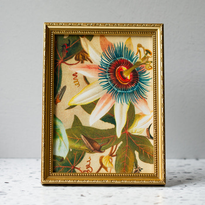 Flower and Cicadas in Gold Ornate Frame