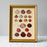 Round Sea Shells in Gold Ornate Frame
