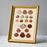 Round Sea Shells in Gold Ornate Frame