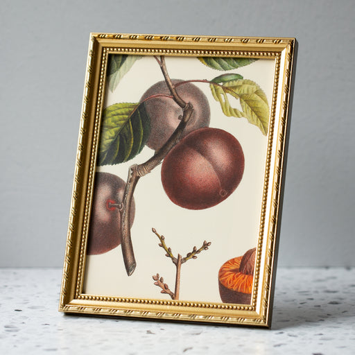 Apricot Noir in Gold Ornate Frame