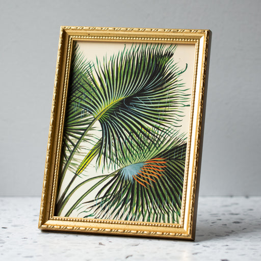 Attalea Funifera Palm in Gold Ornate Frame