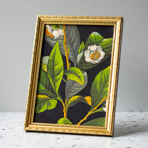 Florium Noir Tea in Gold Ornate Frame