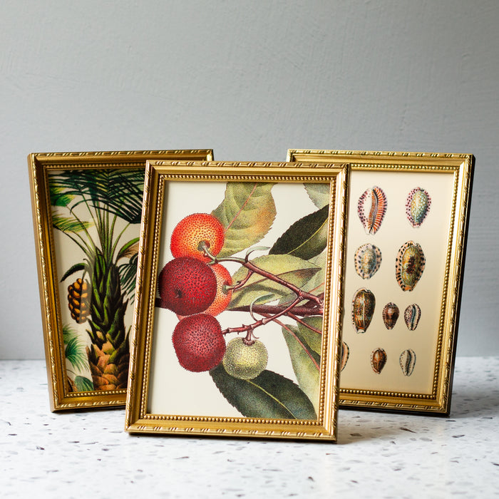 Flower and Cicadas in Gold Ornate Frame