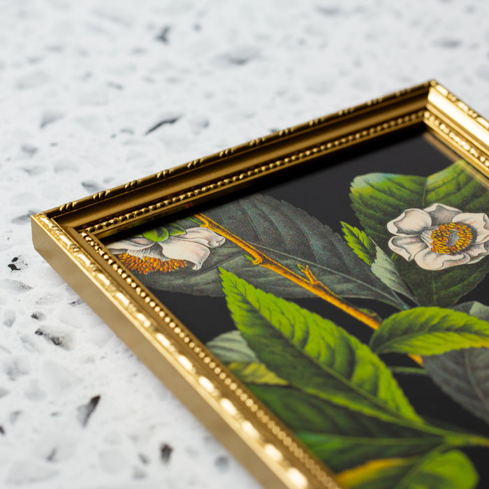 Florium Noir Tea in Gold Ornate Frame