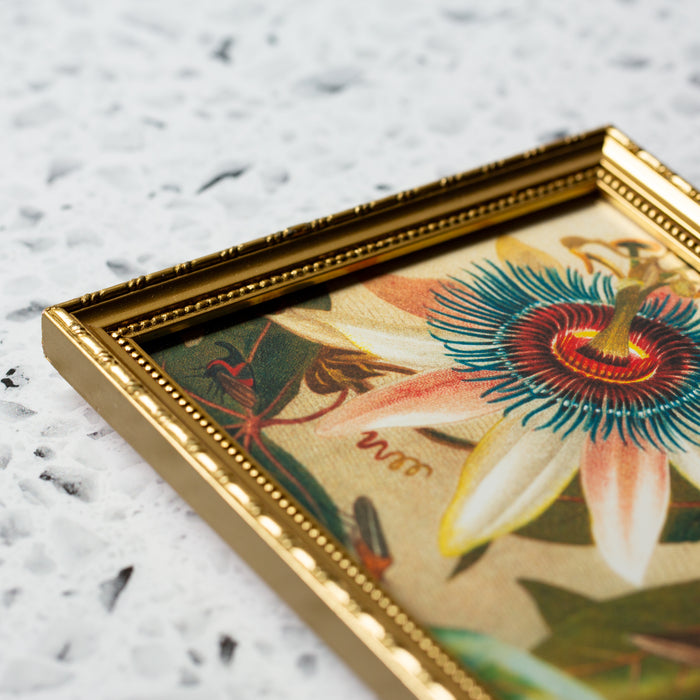 Flower and Cicadas in Gold Ornate Frame