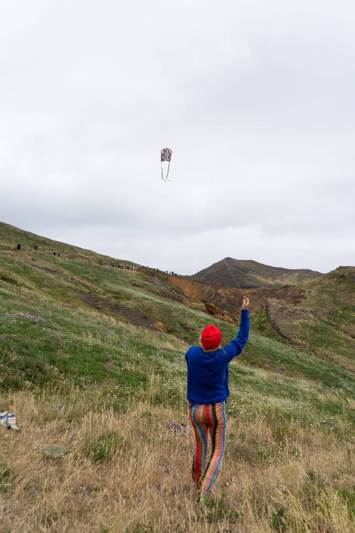 Speedy Pocket Kite