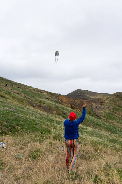 Speedy Pocket Kite