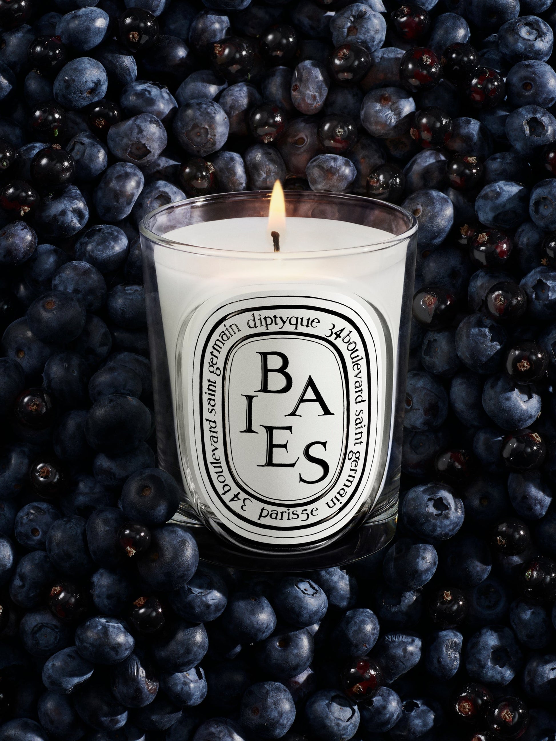 Baies (Berries) - Classic Candle by Diptyque - fragrance inspiration