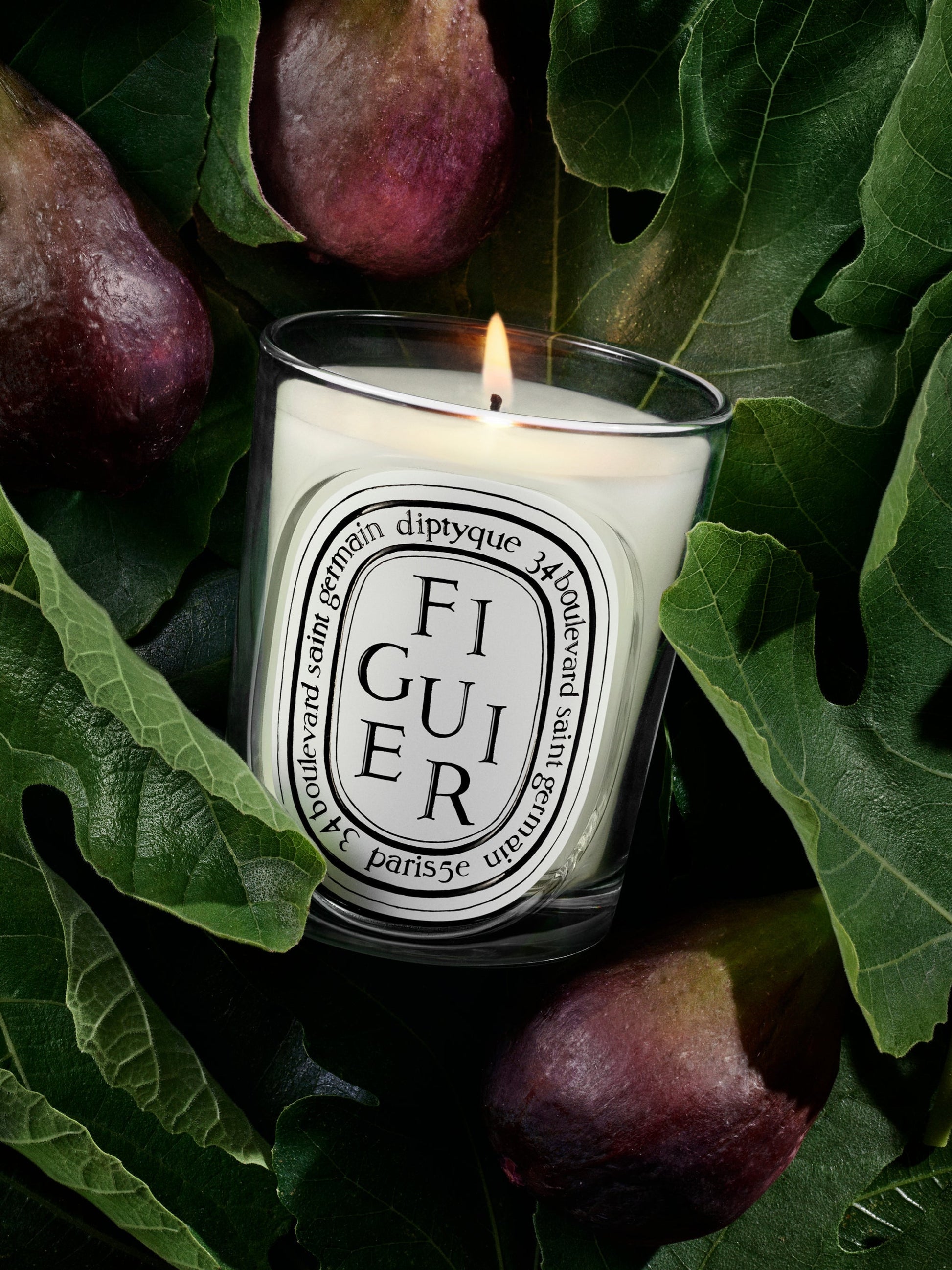 Figuier (Fig Tree) - Classic Candle by Diptyque - fragrance inspiration