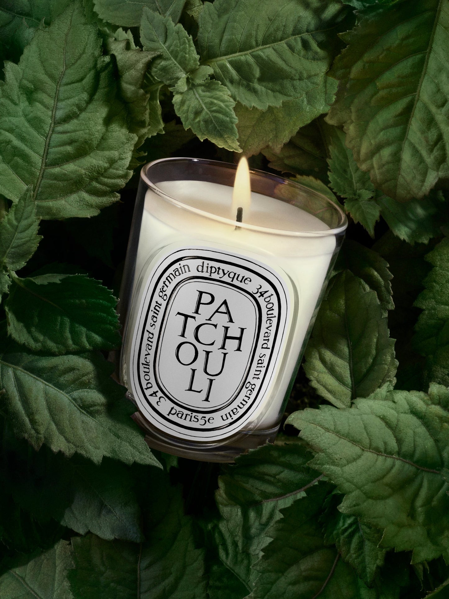 Patchouli - Classic Candle by Diptyque - fragrance inspiration