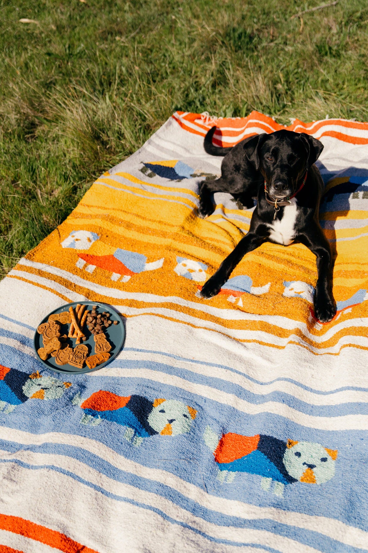 Perro Dorado Woven Blanket