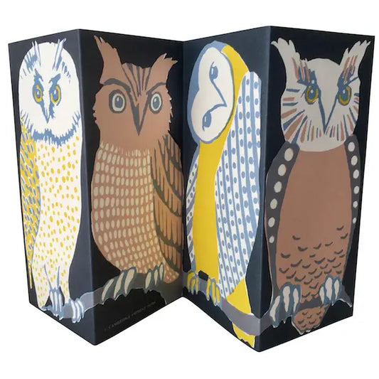 Special Fold Out Card Wise Old Birds