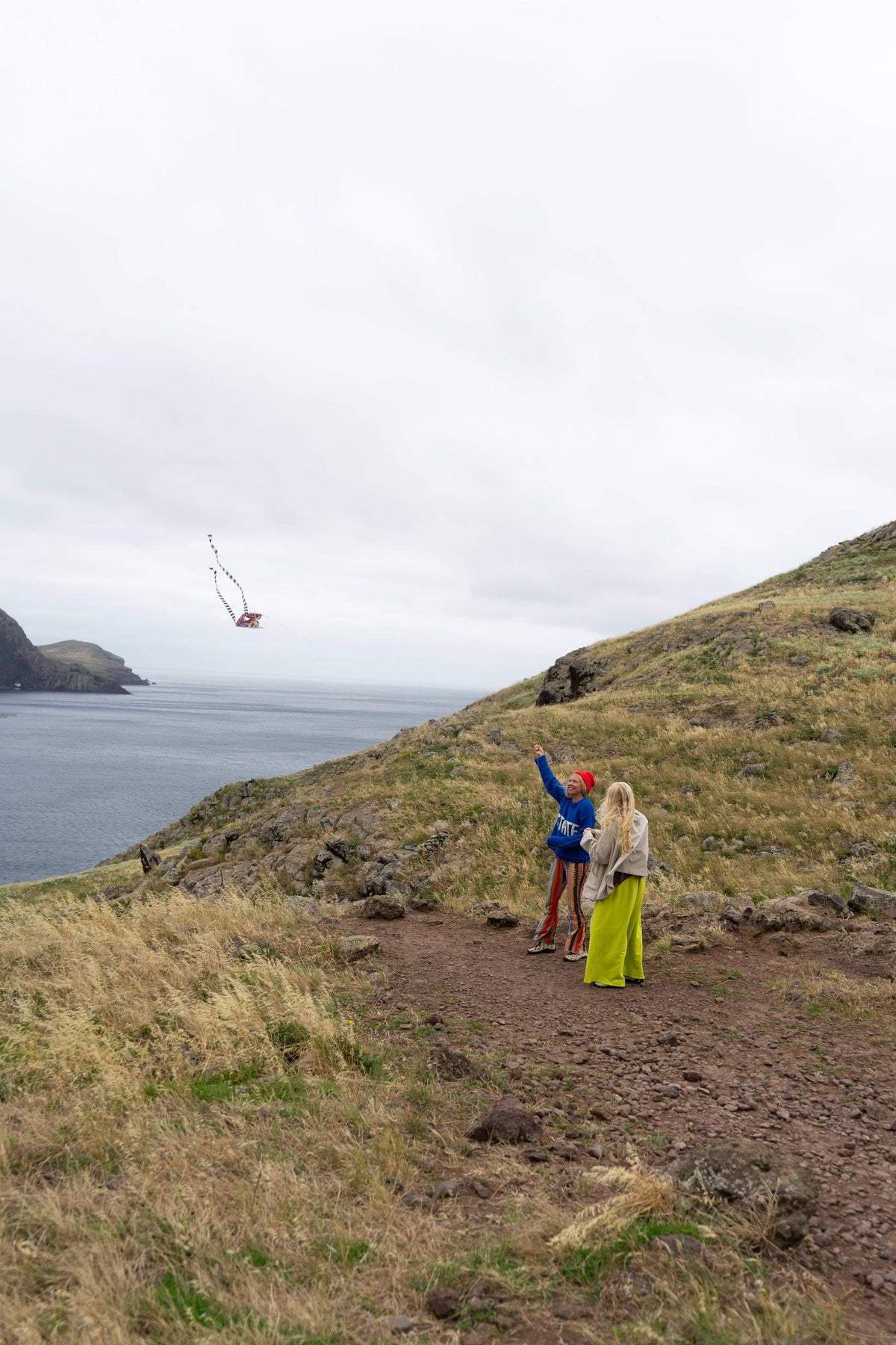 Speedy Pocket Kite