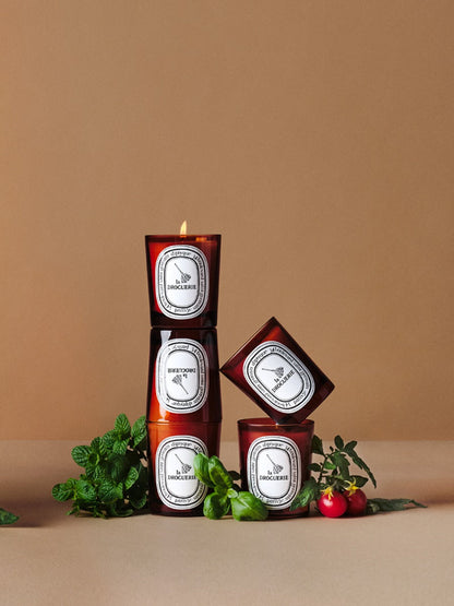 La Droguerie - Odor Removing Candle with Basil by Diptyque - fragrance inspiration