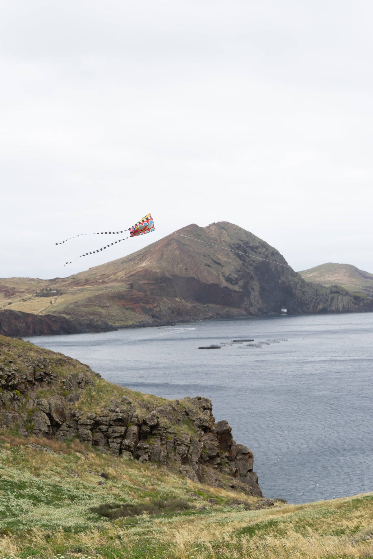 Speedy Pocket Kite
