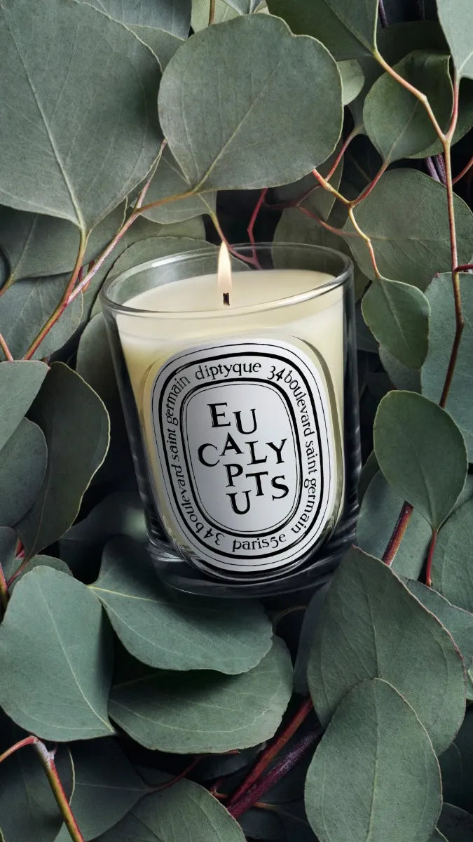 Eucalyptus - Classic Candle by Diptyque - lifestyle view