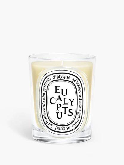 Eucalyptus - Classic Candle by Diptyque - front view