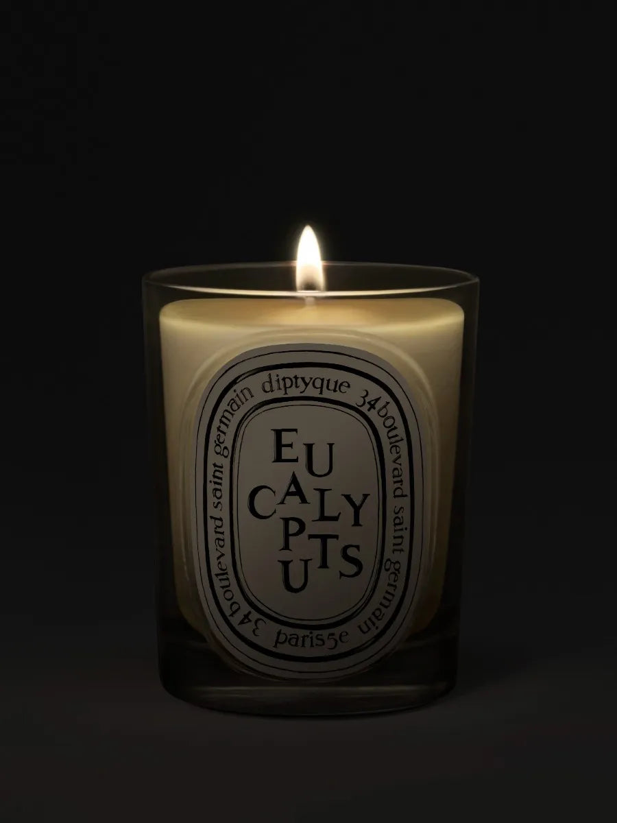 Eucalyptus - Classic Candle by Diptyque - candlelit view