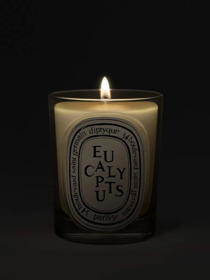 Eucalyptus - Classic Candle by Diptyque - candlelit view