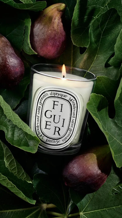 Figuier (Fig Tree) - Classic Candle by Diptyque - lifestyle view