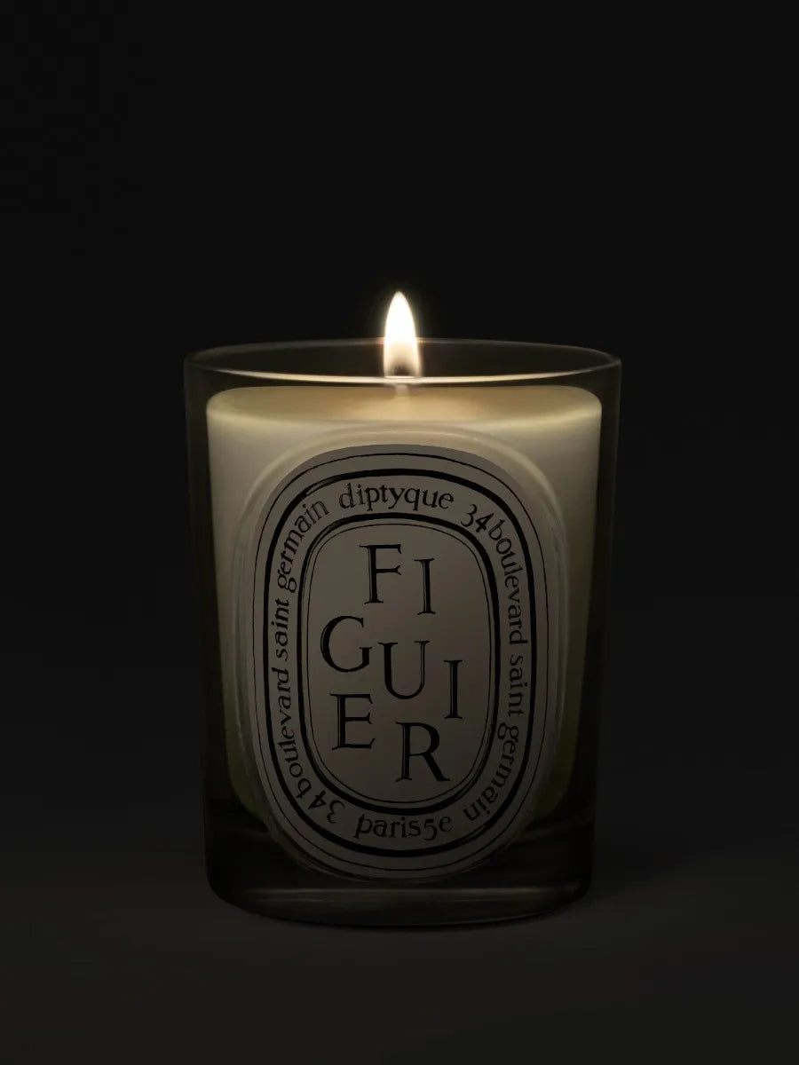 Figuier (Fig Tree) - Classic Candle by Diptyque - candlelit view