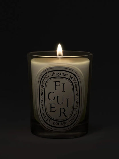 Figuier (Fig Tree) - Classic Candle by Diptyque - candlelit view
