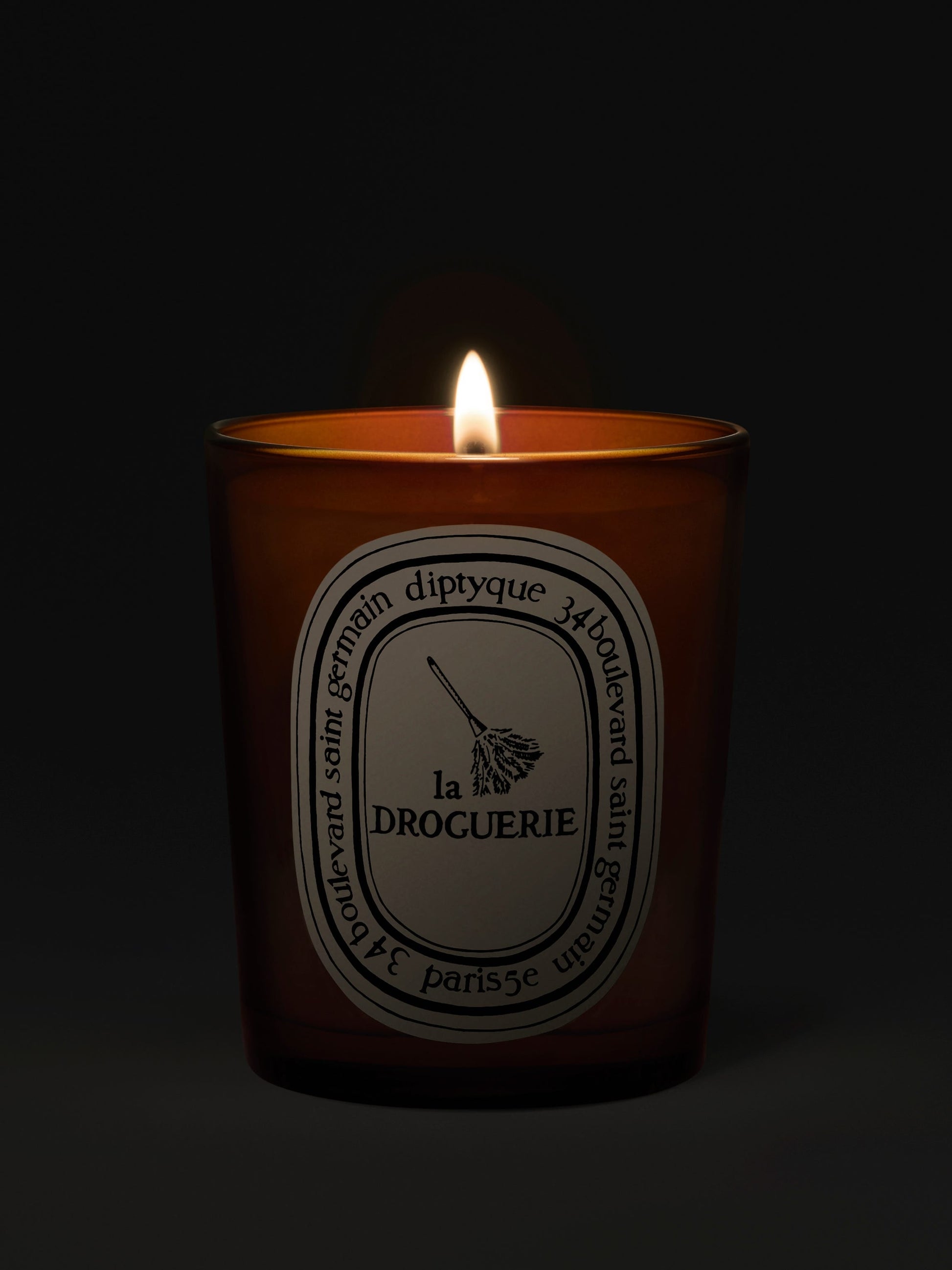 La Droguerie - Odor Removing Candle with Basil by Diptyque - candlelit view