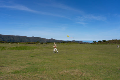 Sky Seer Pocket Kite