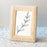 Dream Weavers Whitewash Resin Picture Frame (4x6”)