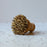 Redecker Beechwood and Natural Fiber Bristle Dark Pot Brush