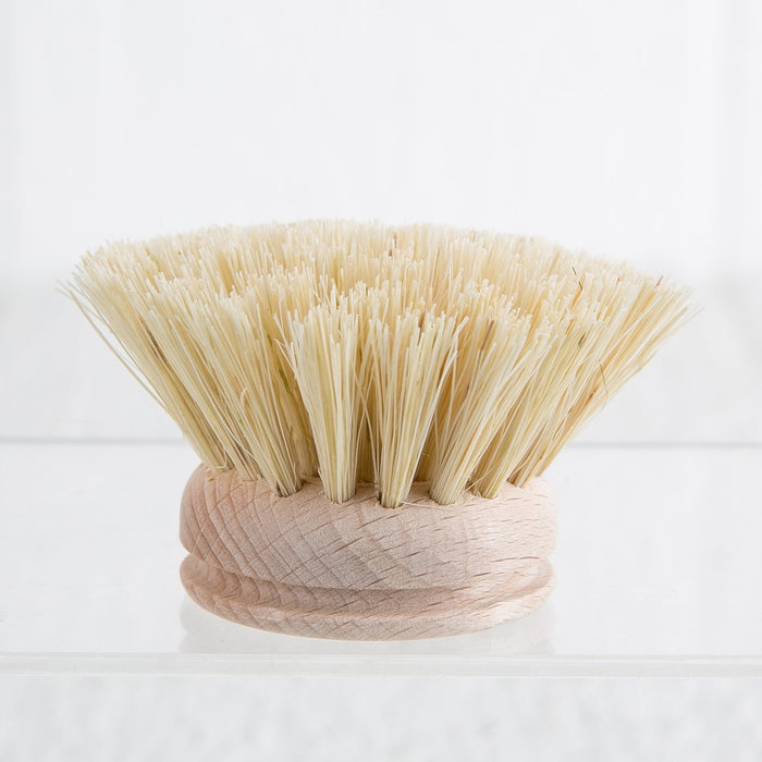 Boar Hair Dishwashing Replacement Brush (White)