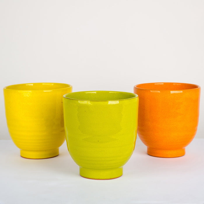 Colorful Terra Cotta Flower Pots