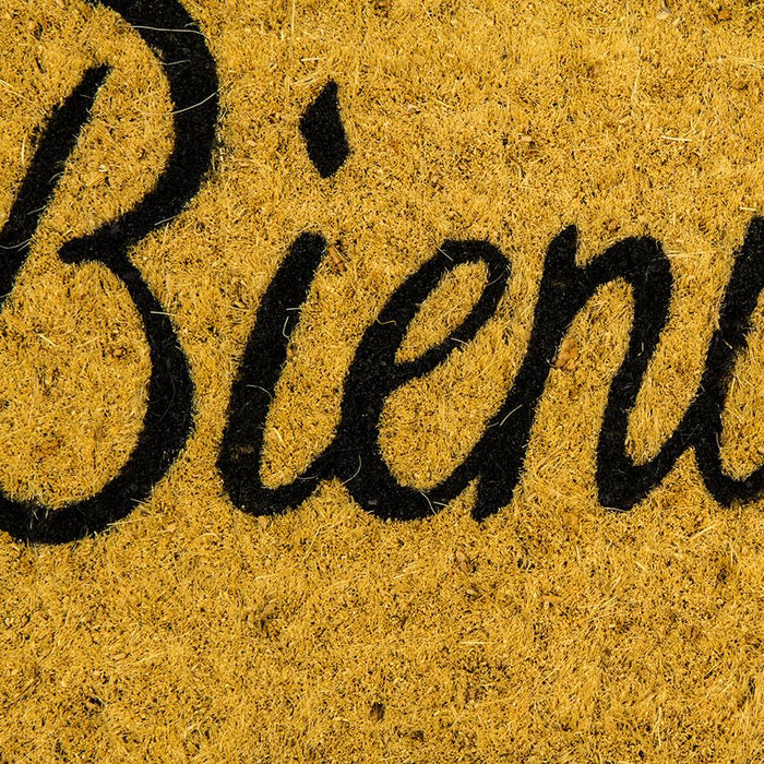 Classic Bienveue Coir Doormat