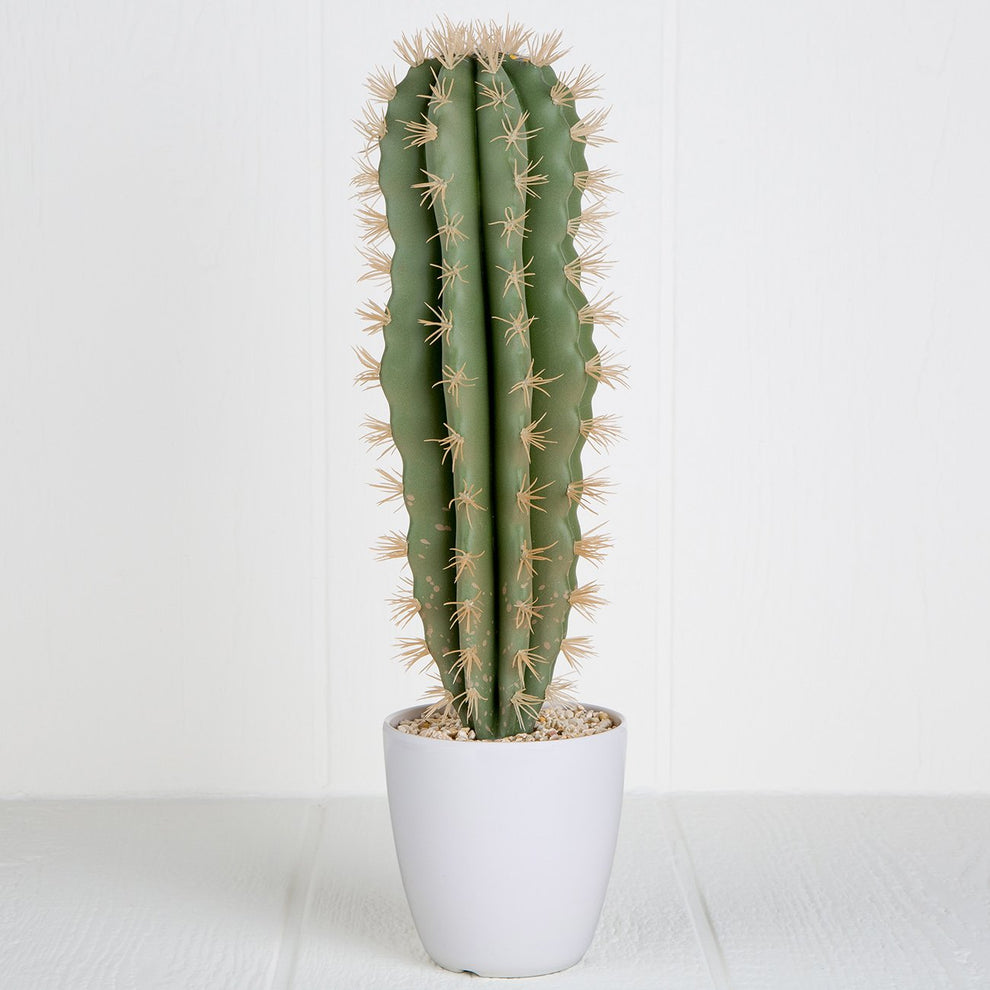 Faux Chimaltenago Cactus – Maison Midi
