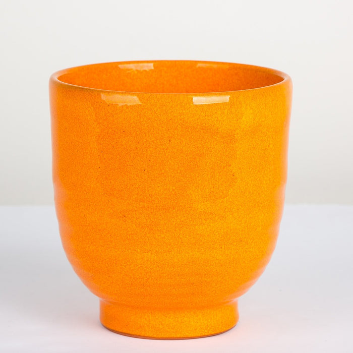 Orange Terra Cotta Flower Pot