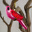 Pink Parrot Glass Ornament