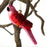 Pink Parrot Glass Ornament