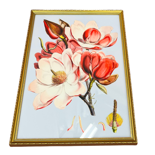 Pink Flower (Gold Frame) Print