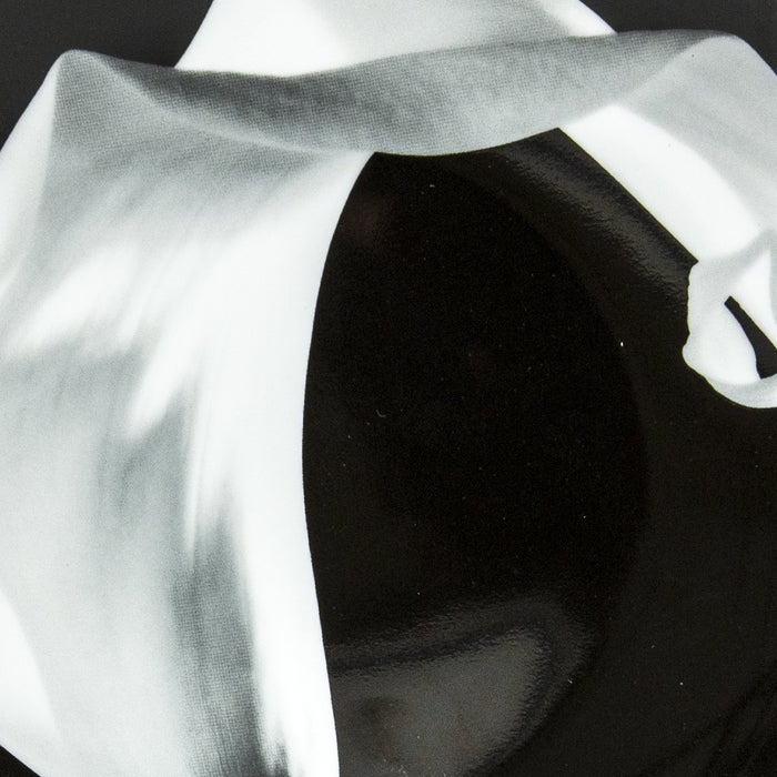 Robert Mapplethorpe "Calla Lily" Porcelain Plate (8.23"⌀)