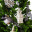Silver Clown Glass Ornament