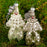 Silver Clown Glass Ornament