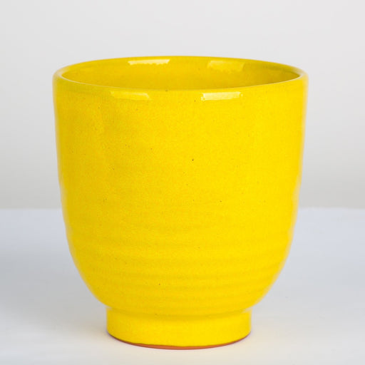 Yellow Terra Cotta Flower Pot